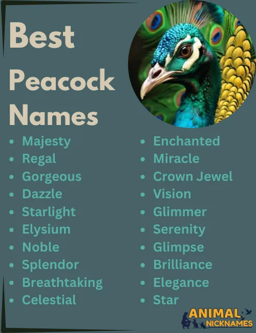 Best Peacock Names