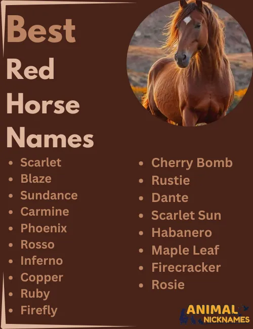 Best Red Horse Names