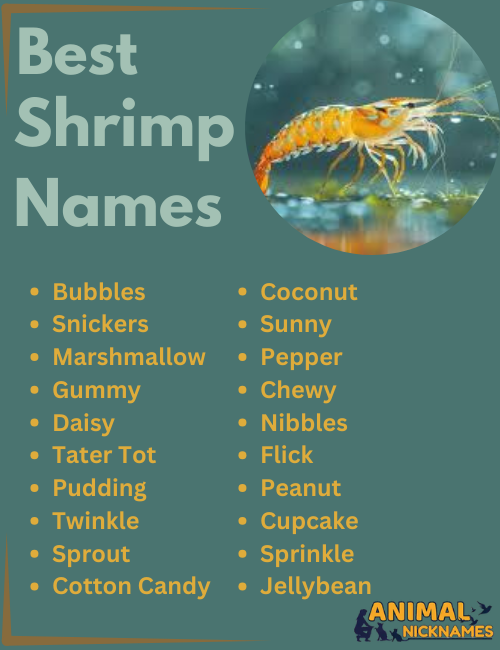 Best Shrimp Names