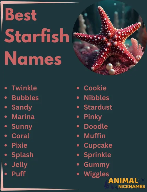 Best Starfish Names