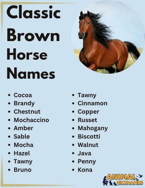 Classic Brown Horse Names