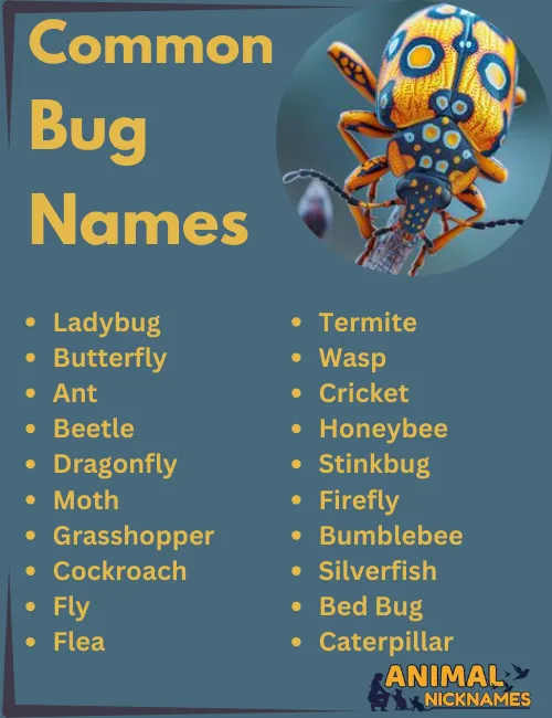 Common Bug Names