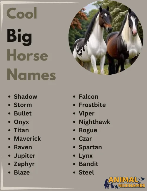 Cool Big Horse Names