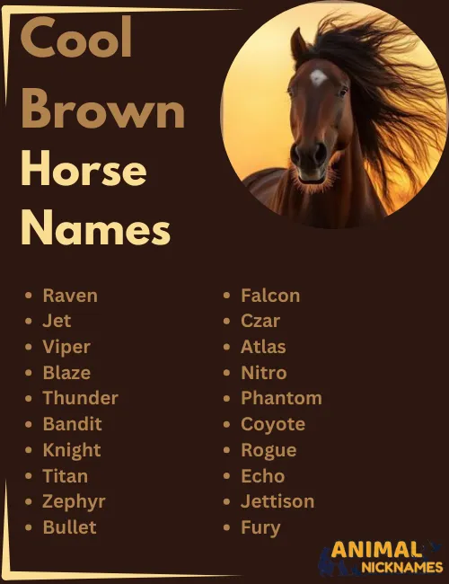 Cool Brown Horse Names