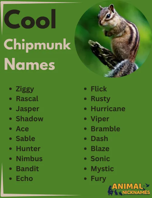 Cool Chipmunk Names