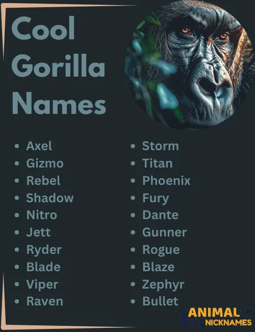 Cool Gorilla Names