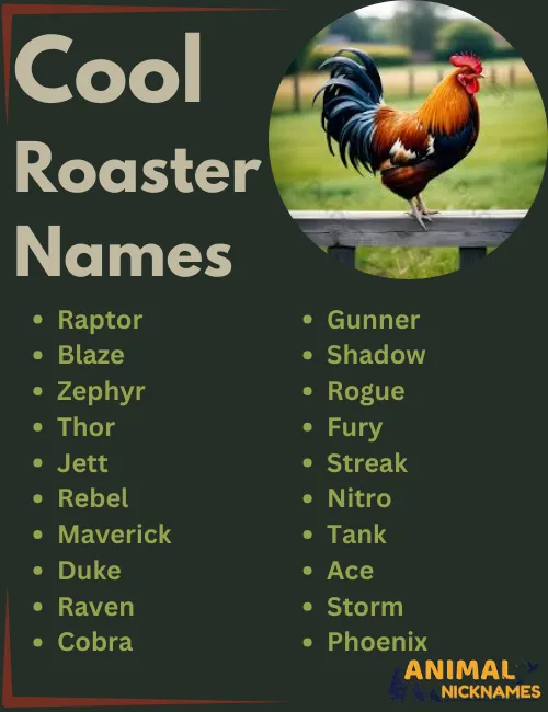 Cool Rooster Names