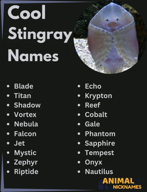 Cool Stingray Names