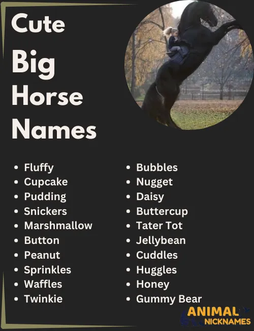 Cute Big Horse Names