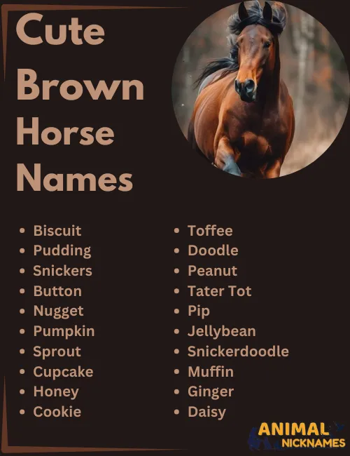 Cute Brown Horse Names