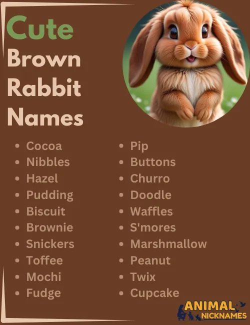 Cute Brown Rabbit Names