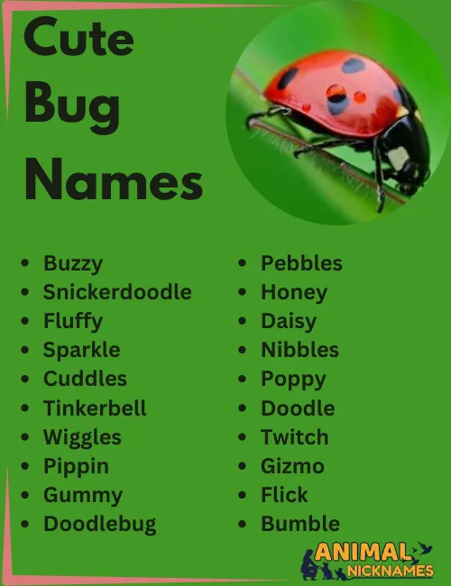 Cute Bug Names