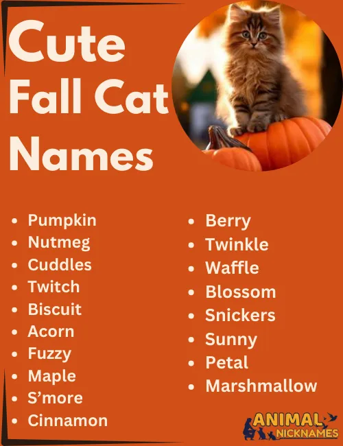 Cute Fall Cat Names