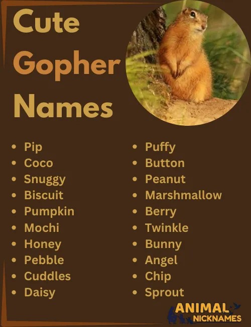 Cute Gopher Names