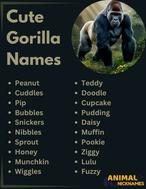 Cute Gorilla Names