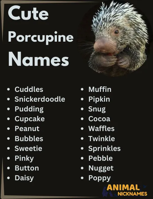 Cute Porcupine Names