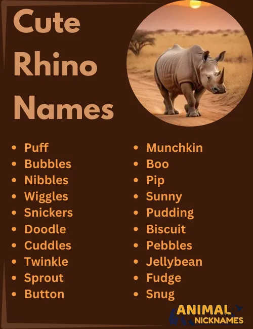 Cute Rhino Names