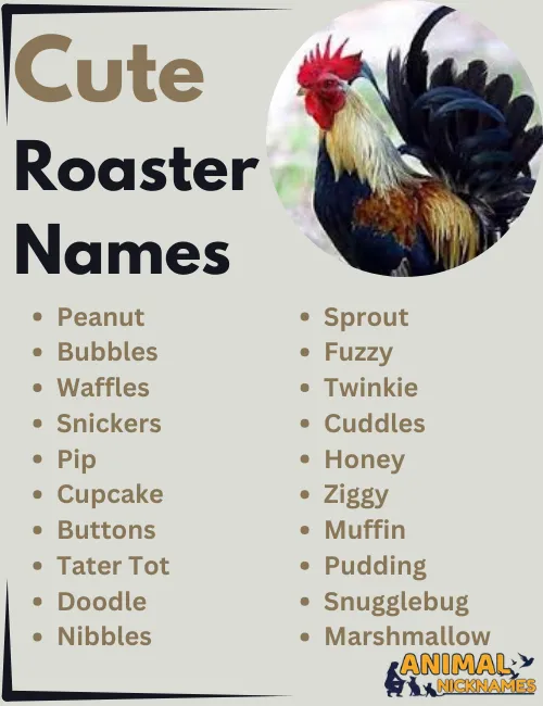 Cute Rooster Names