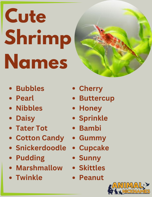 Cute Shrimp Names