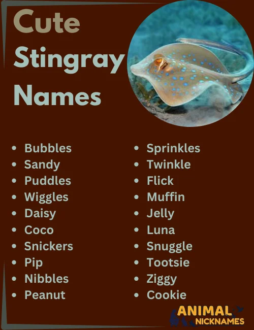 Cute Stingray Names