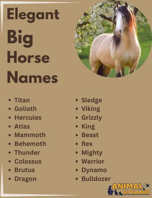 Elegant Big Horse Names