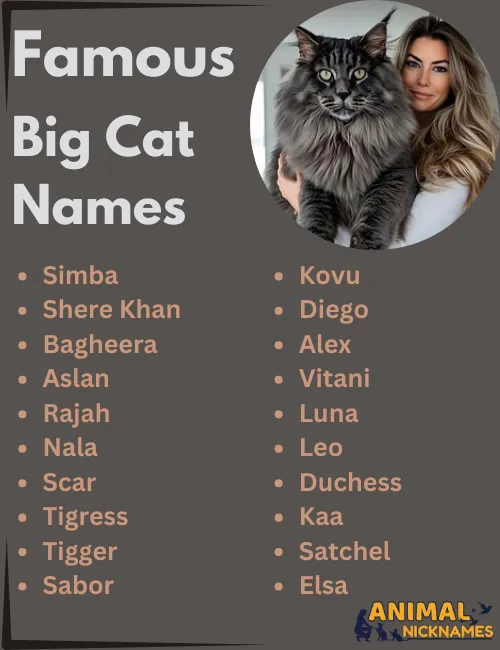 Best 400+ Big Cat Names for your Big Kitty [Perfect Ideas]