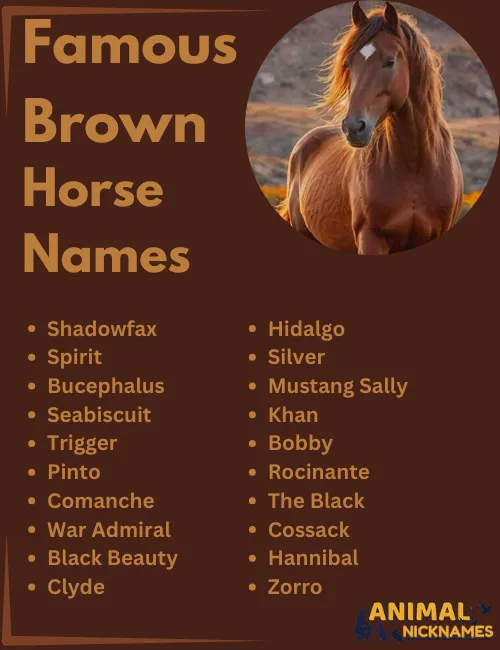 Famous Brown Horse Names