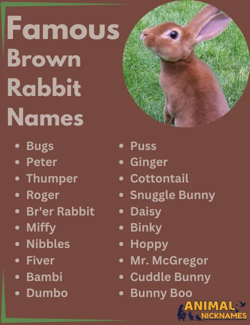 Famous Brown Rabbit Names