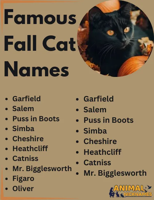 Famous Fall Cat Names