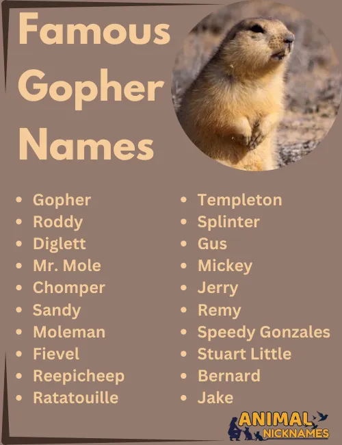 Famous Gopher Names