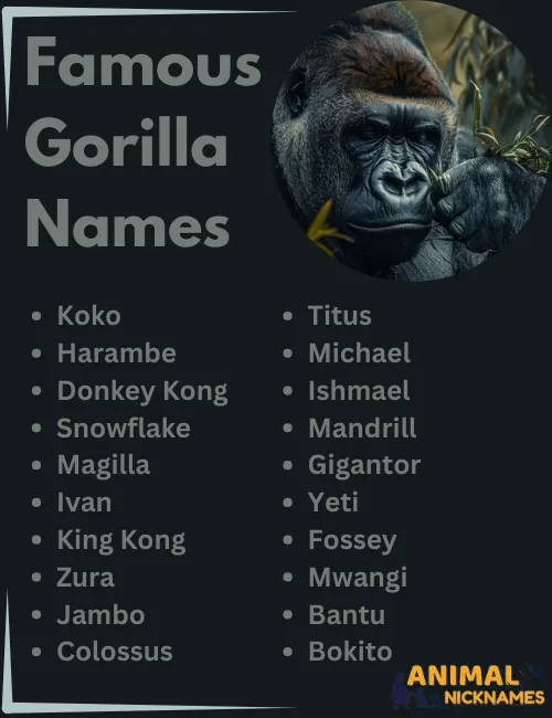 Famous Gorilla Names