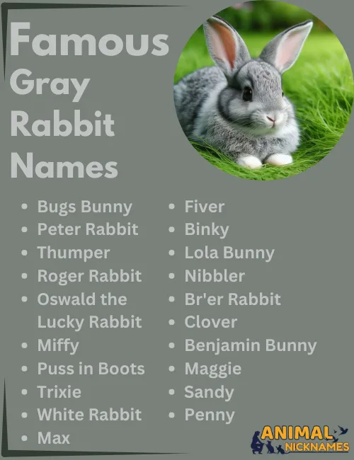 Famous Gray Rabbit Names