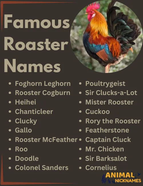 Famous Rooster Names