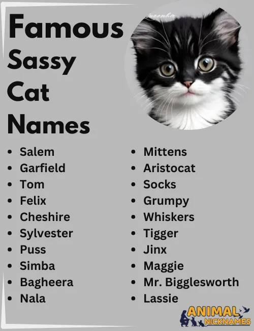 Famous Sassy Cat Names