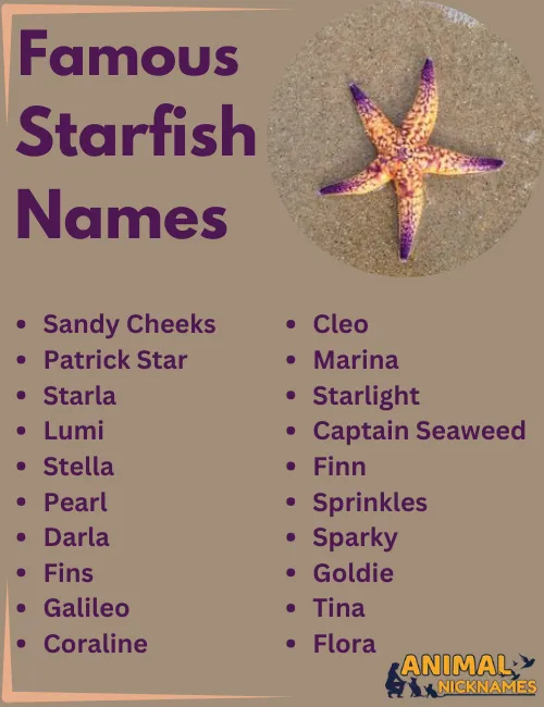 Famous Starfish Names