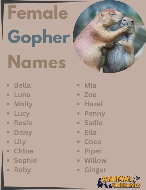 Female Gopher Names