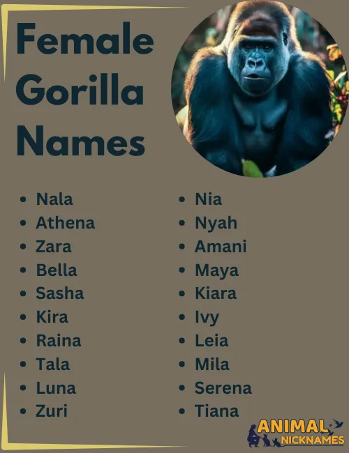 Female Gorilla Names