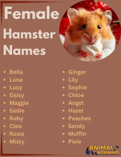 Female Hamster Names