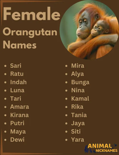 Female Orangutan Names