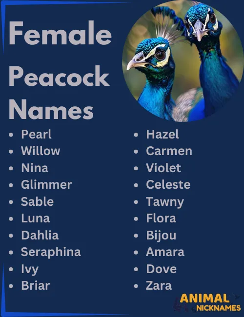 Female Peacock Names