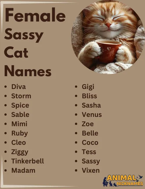 Female Sassy Cat Names