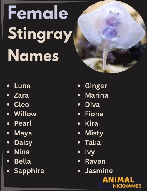 Female Stingray Names