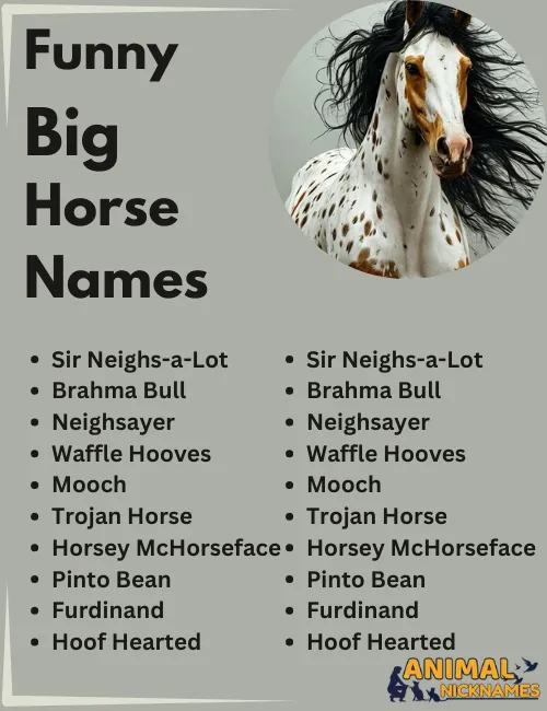 Funny Big Horse Names