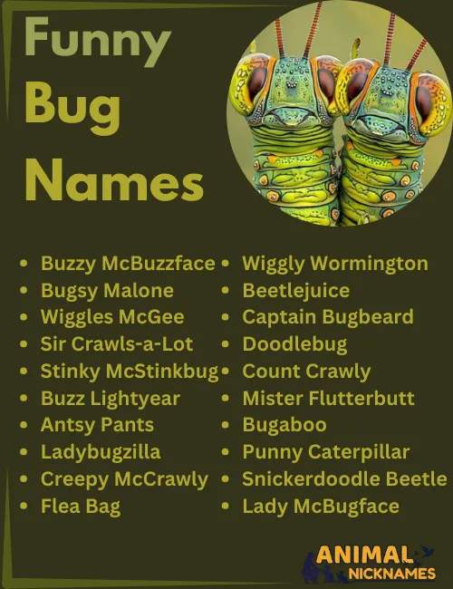 Funny Bug Names