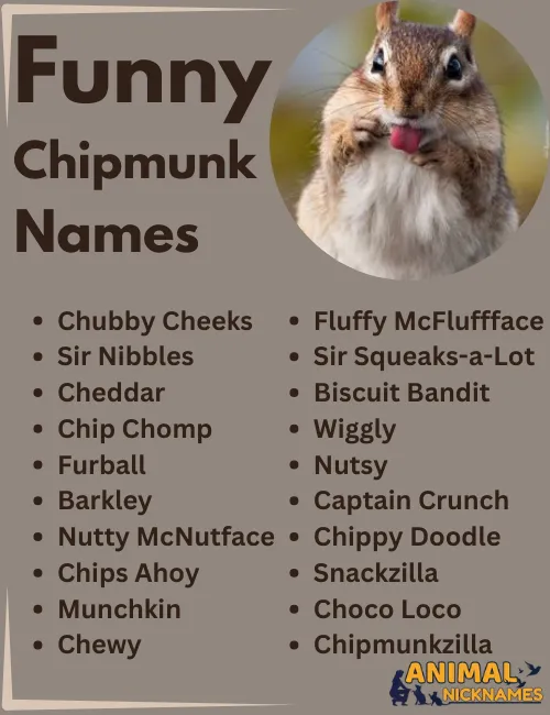 Funny Chipmunk Names