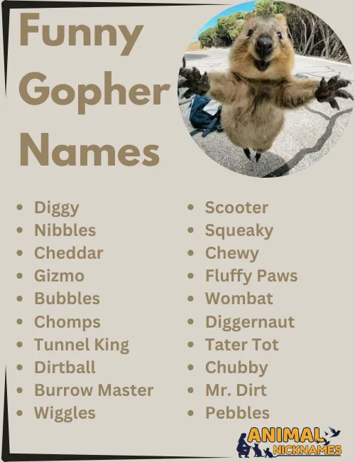 Funny Gopher Names