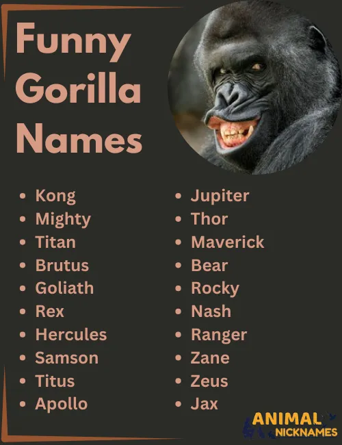 Funny Gorilla Names