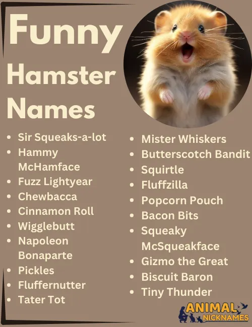 Funny Hamster Names