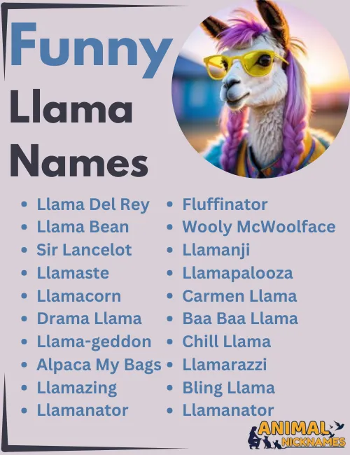 Funny Llama Names