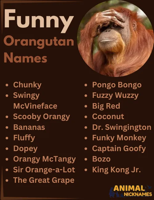 Funny Orangutan Names